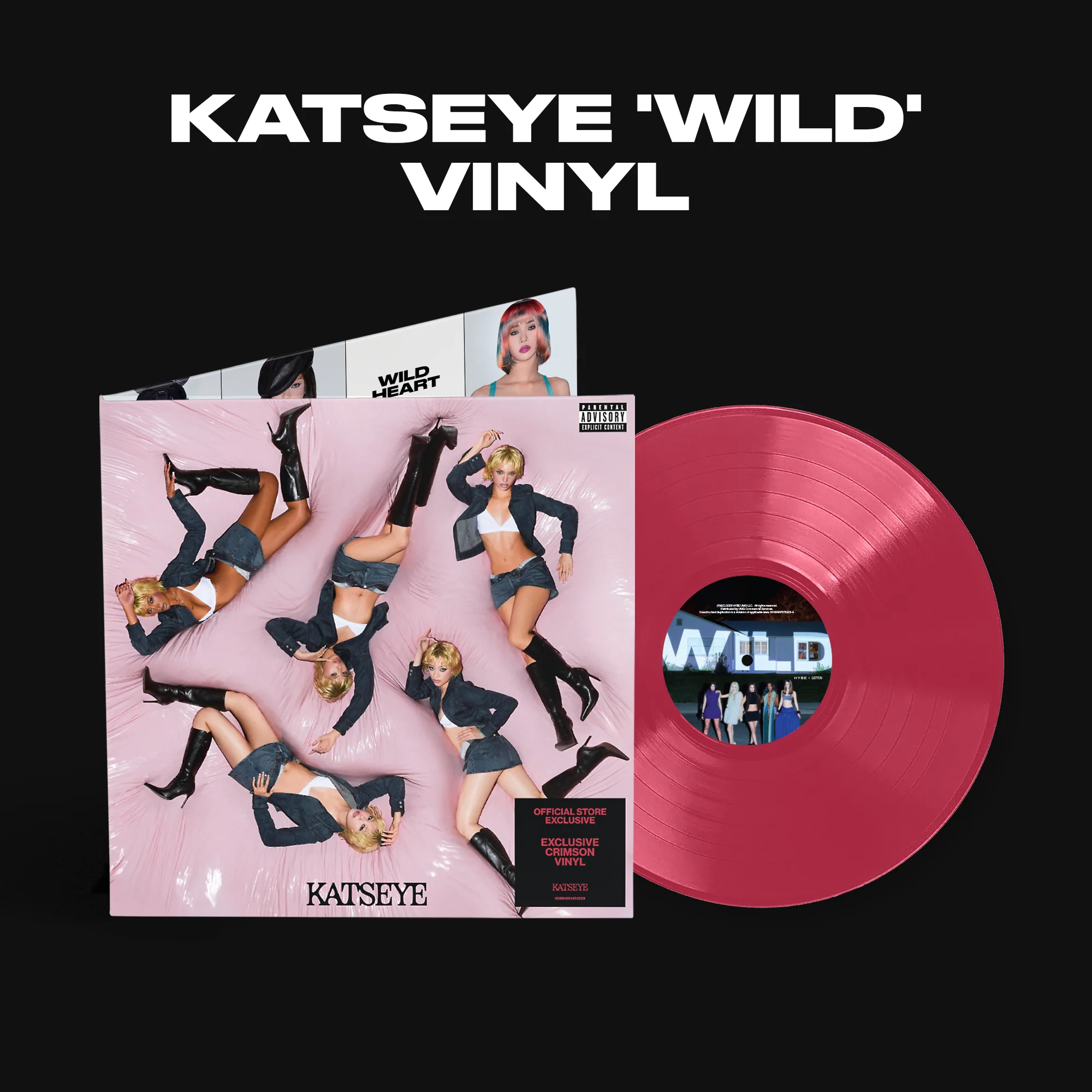 00Vinyl_Wild_OfficialStoreExclusiveVinyl_1x1_Thumbnail