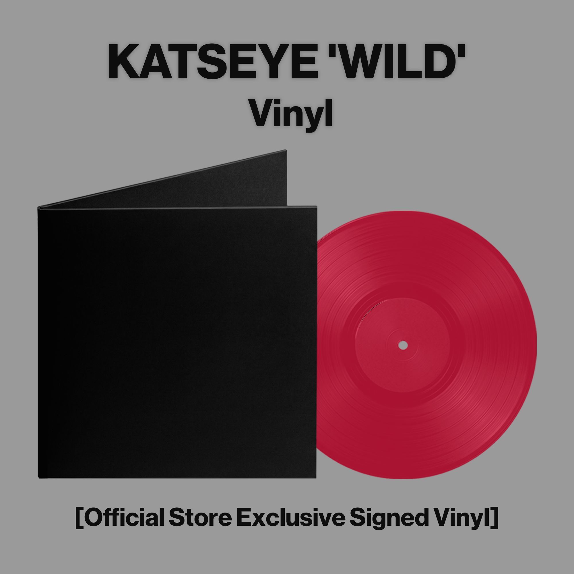 Vinyl-version-Thumbnail-png-converted